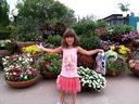 Queen of the Flowers